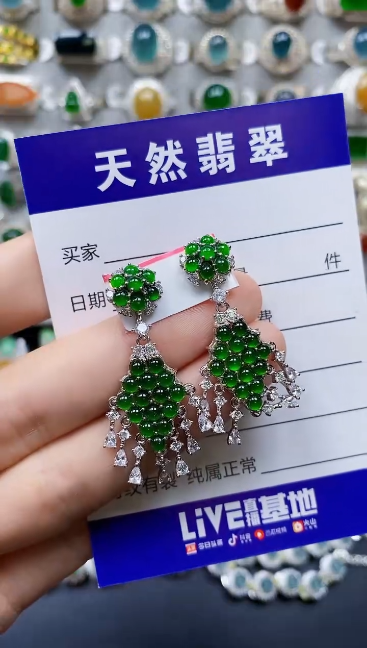 【闪购商品】翡翠银S925镶嵌耳饰0385