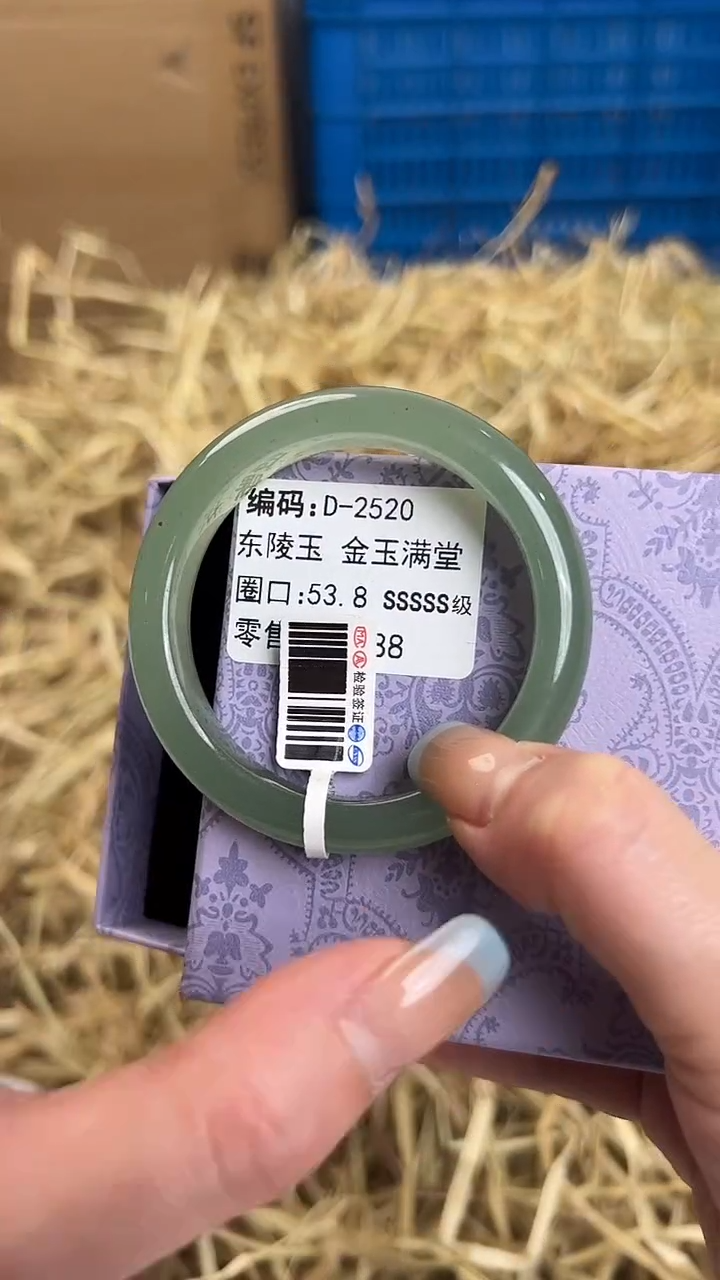 未镶嵌手镯石英质玉D-2520