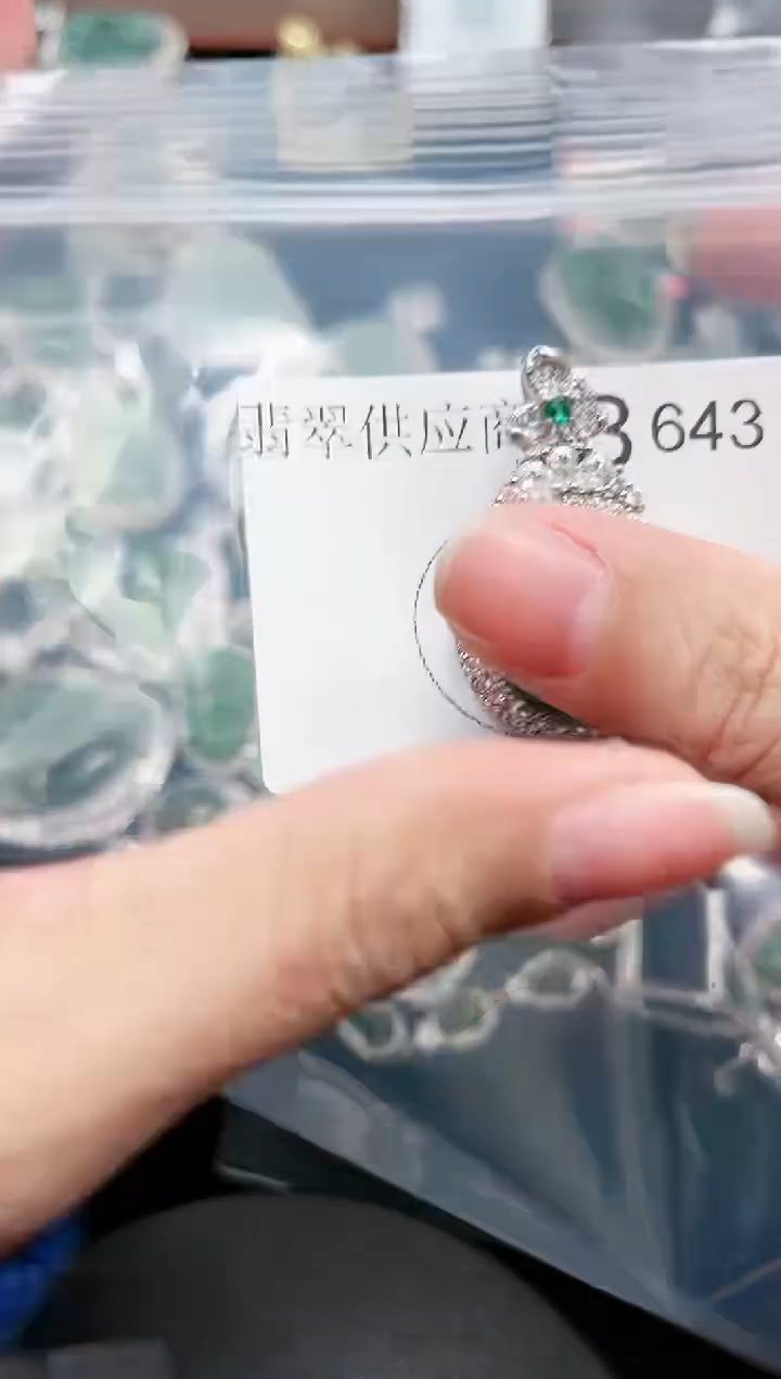 【闪购商品】翡翠颈饰未镶嵌赠皮绳643