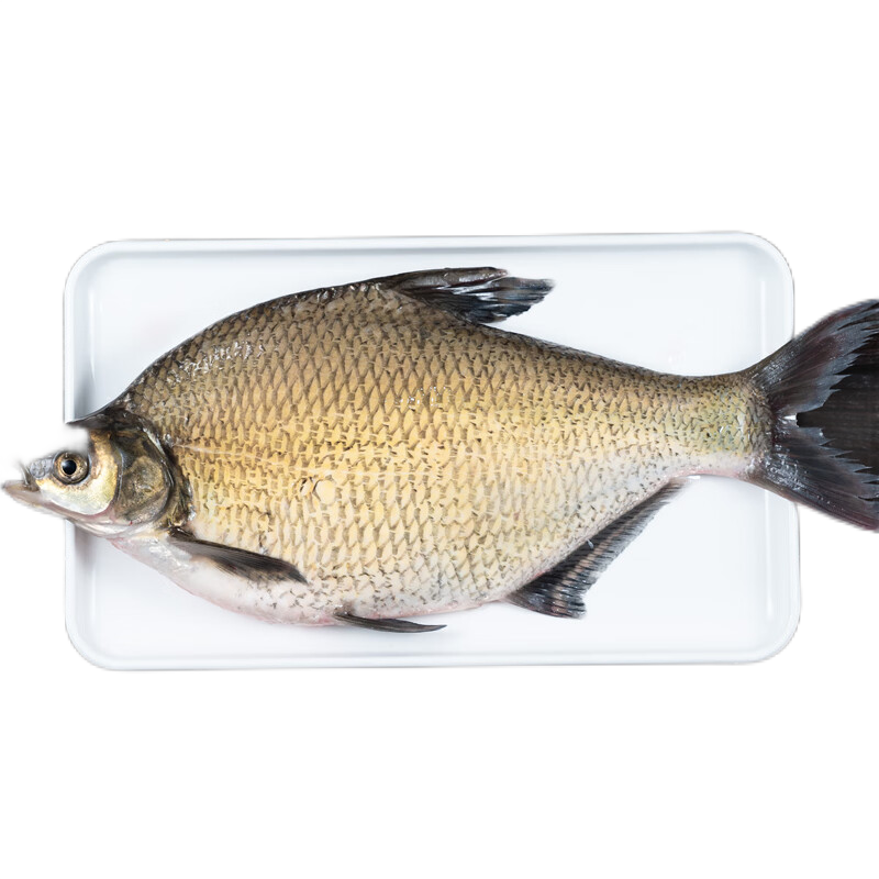 鳊鱼600-700/条【默认宰杀】