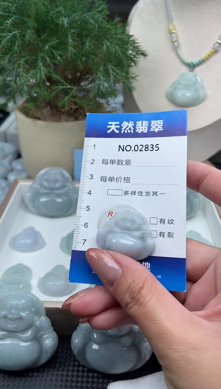 颈饰未镶嵌翡翠纯天然A货翡翠2835