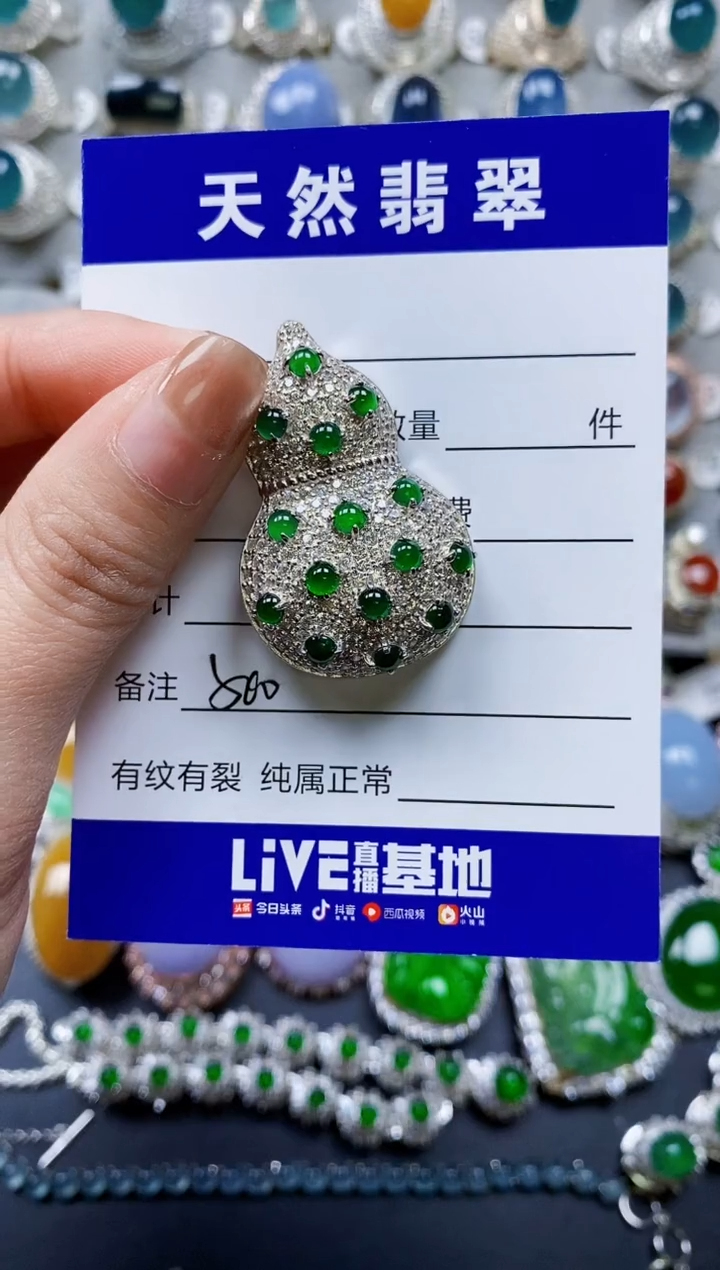 【闪购商品】翡翠颈饰银S925镶嵌0500