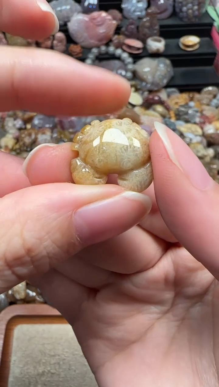 颈饰未镶嵌硅化珊瑚（珊瑚玉）773