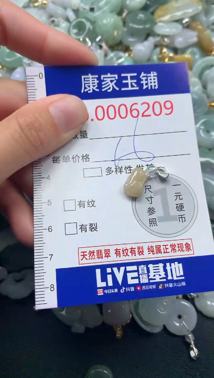 吊坠(不含链)未镶嵌翡翠6209