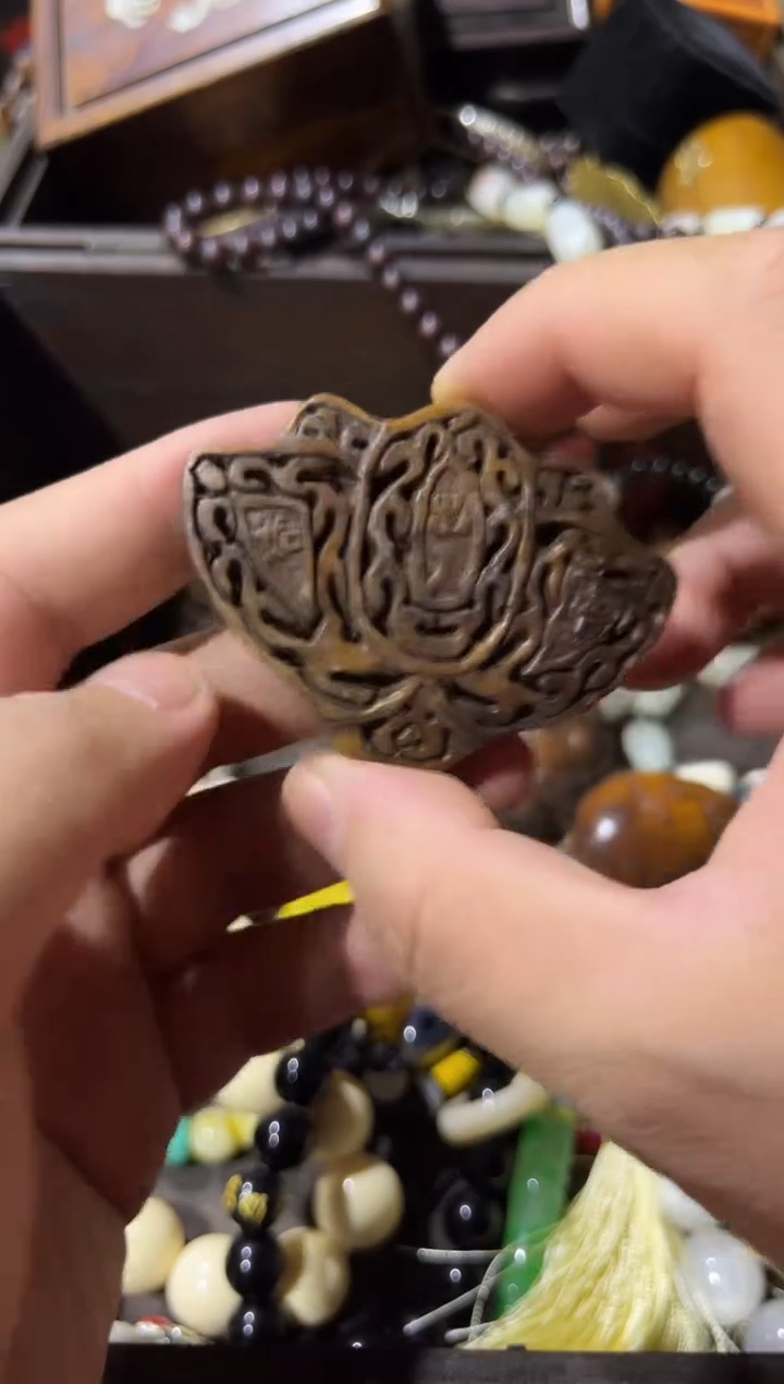 黄杨木11111111111111111111