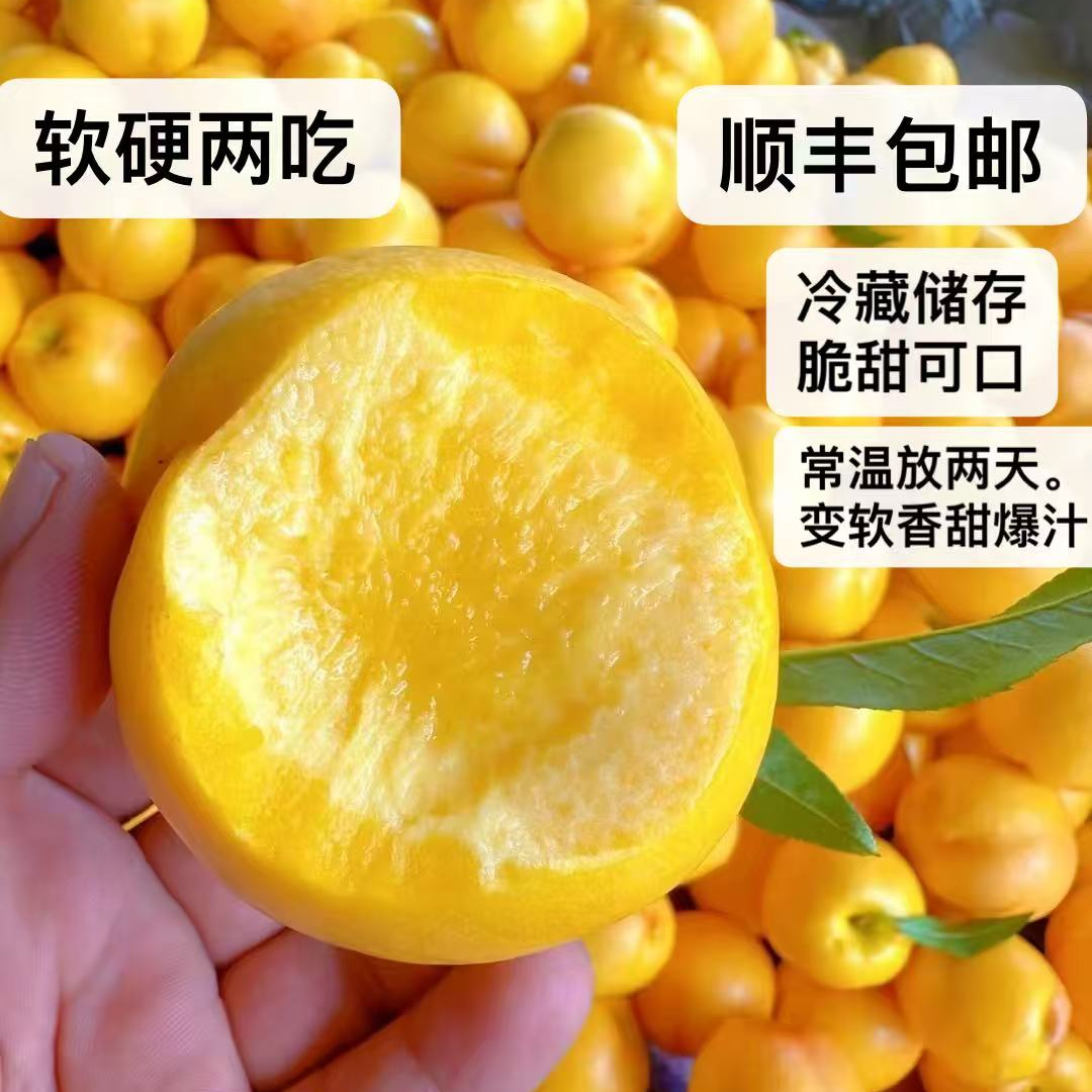 【牙牙臻选】蒙山黄油桃特级果软硬两吃当季新鲜采摘孕*水果顺丰包