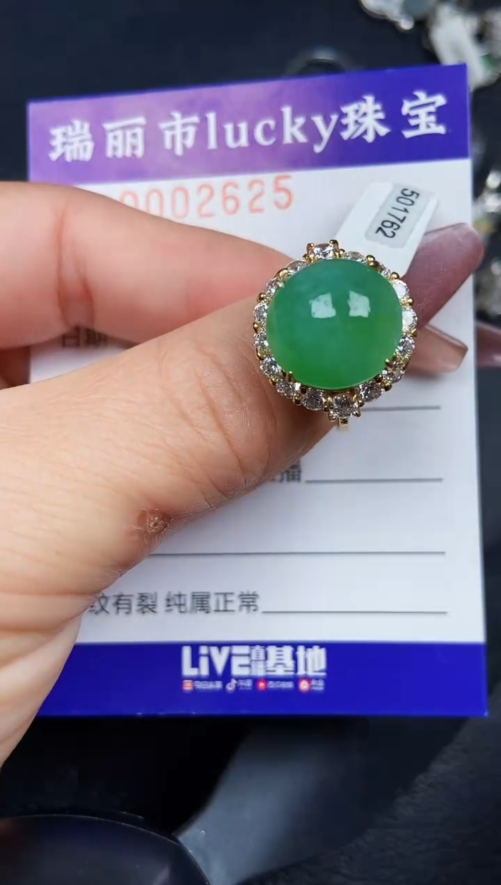 翡翠银S925镶嵌颈饰2625