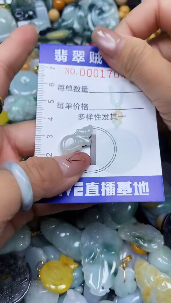 【闪购商品】翡翠颈饰未镶嵌闪购0001704