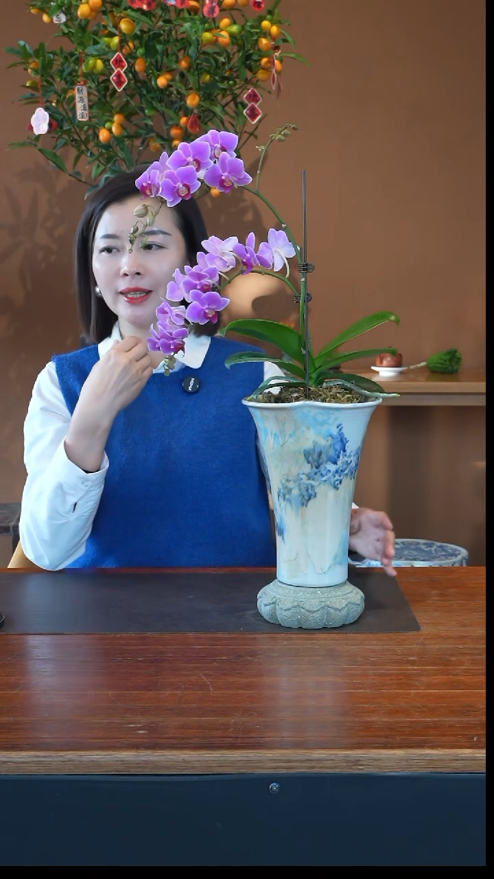 全部花朵粉珠帘盆景盆景