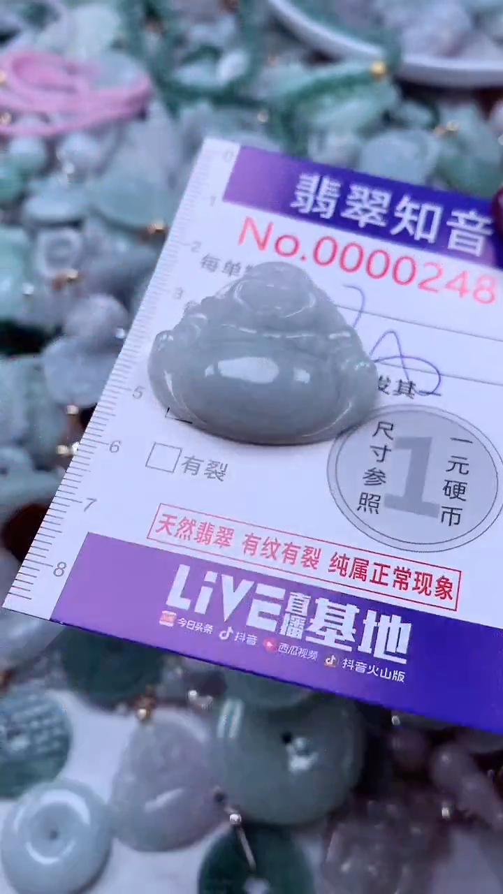 翡翠未镶嵌吊坠(不含链)248