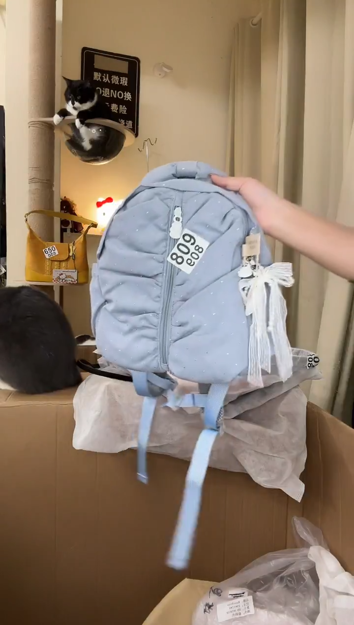 PU以直播链接为准 默认微瑕809 小双肩