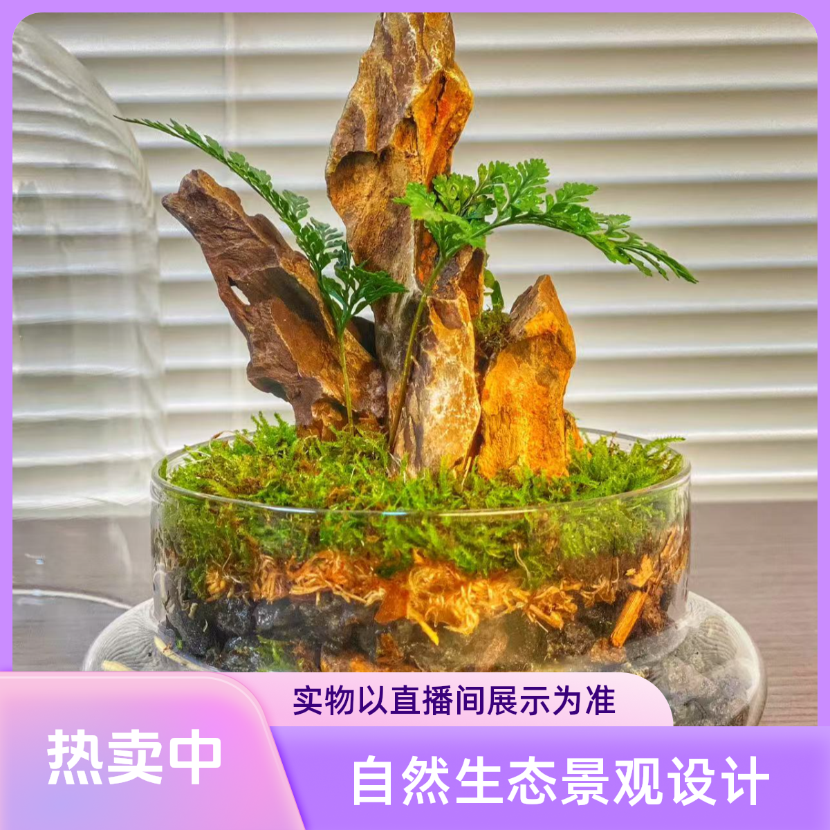 微型水陆鱼缸  造景 