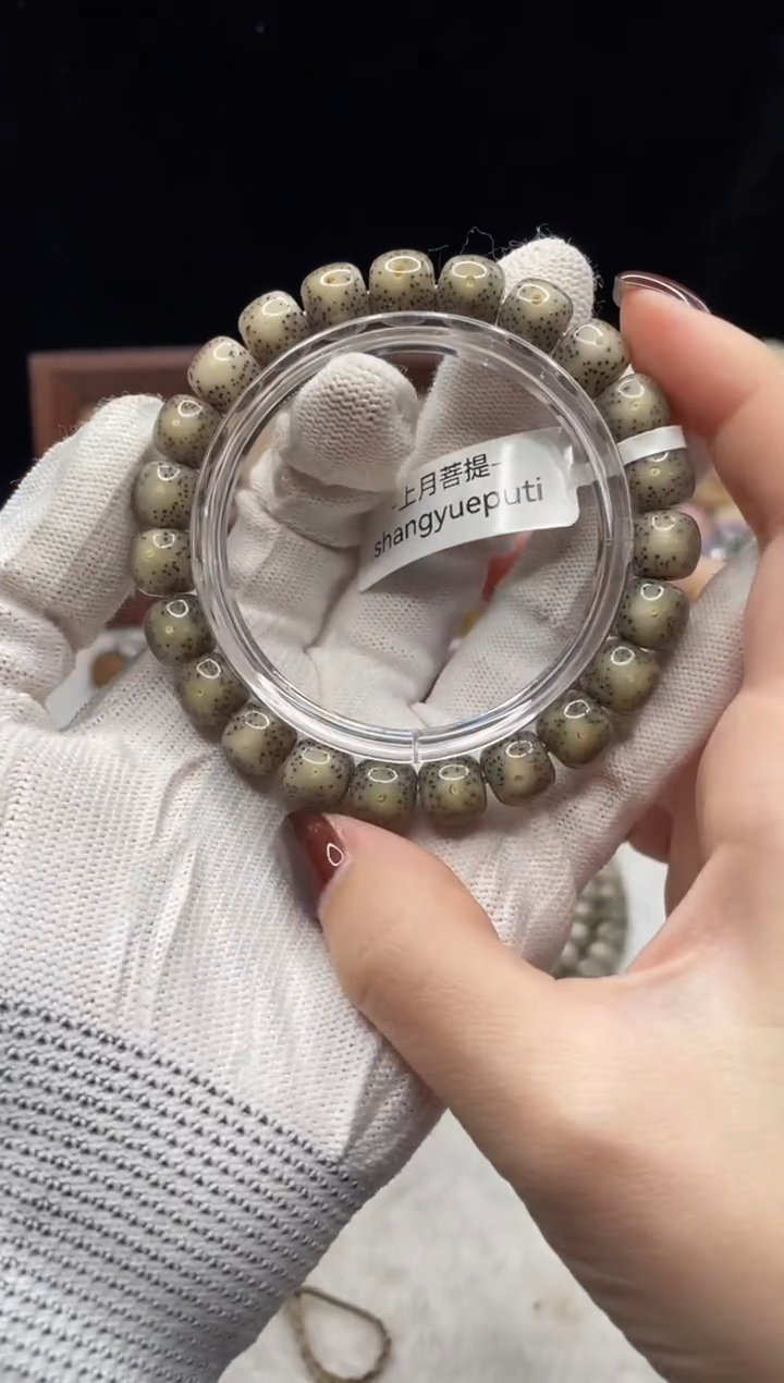 手串星月菩提V43 10X9 E001