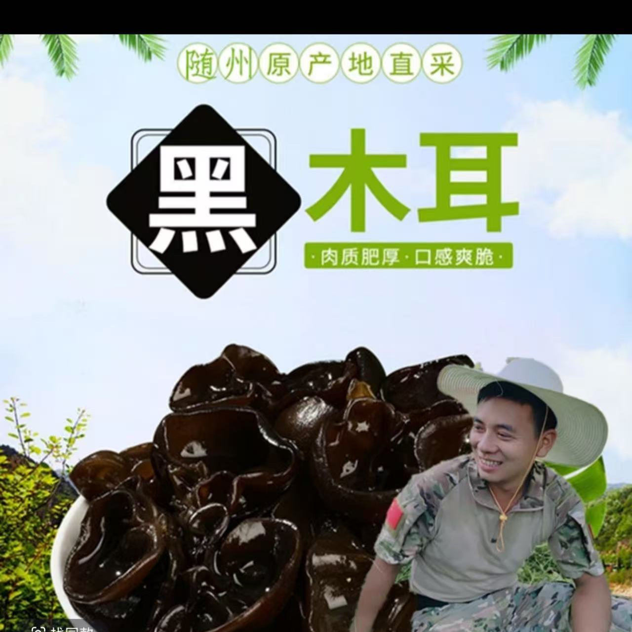 广水干货黑木耳 25年新货精选干木耳批发