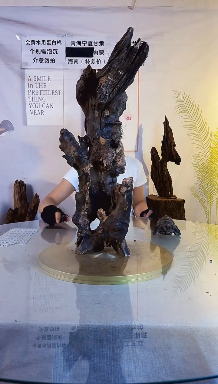 李***。山丘沉木一物一拍A548