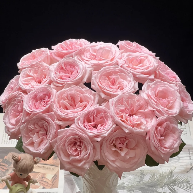 【带香味】粉荔枝玫瑰 20支（5枝不售后）