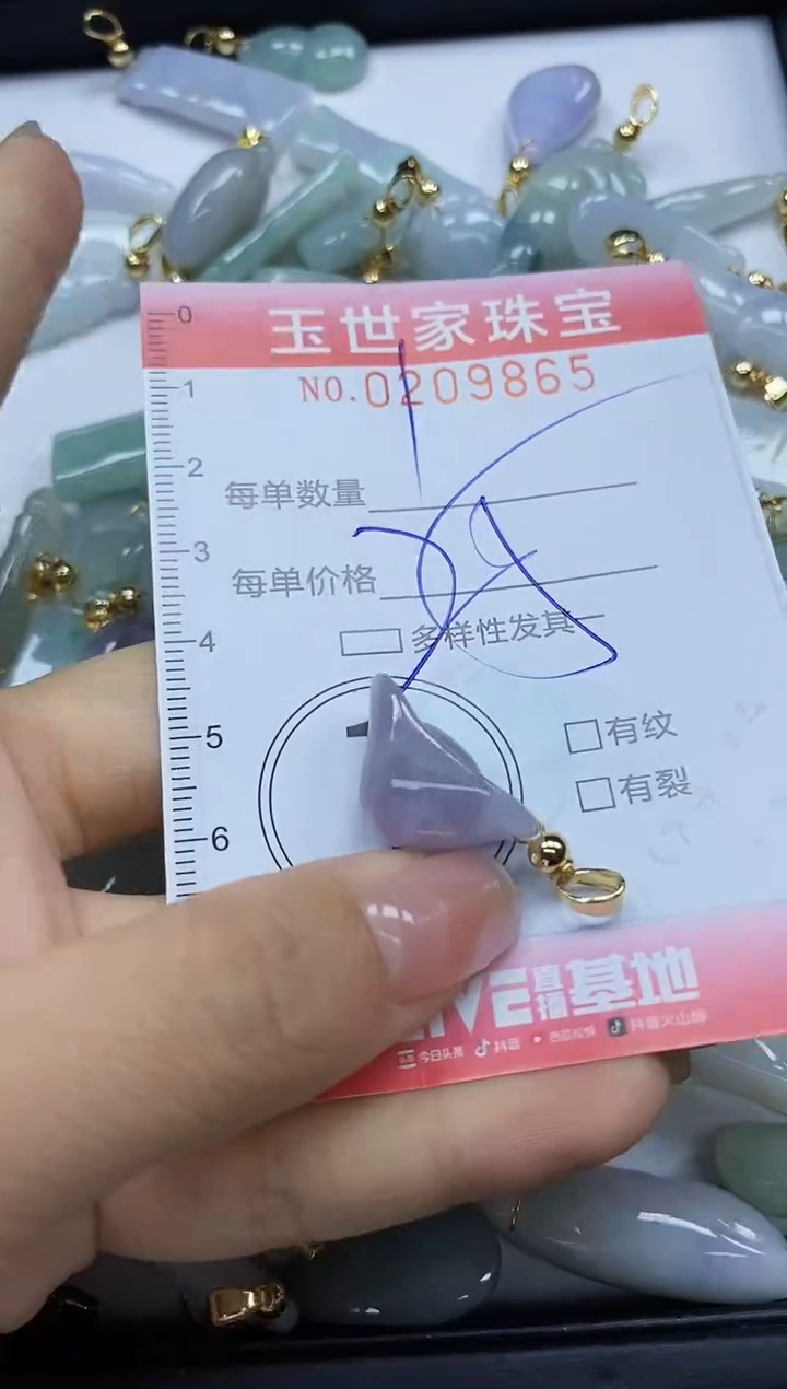 【闪购商品】翡翠颈饰未镶嵌闪购0209865