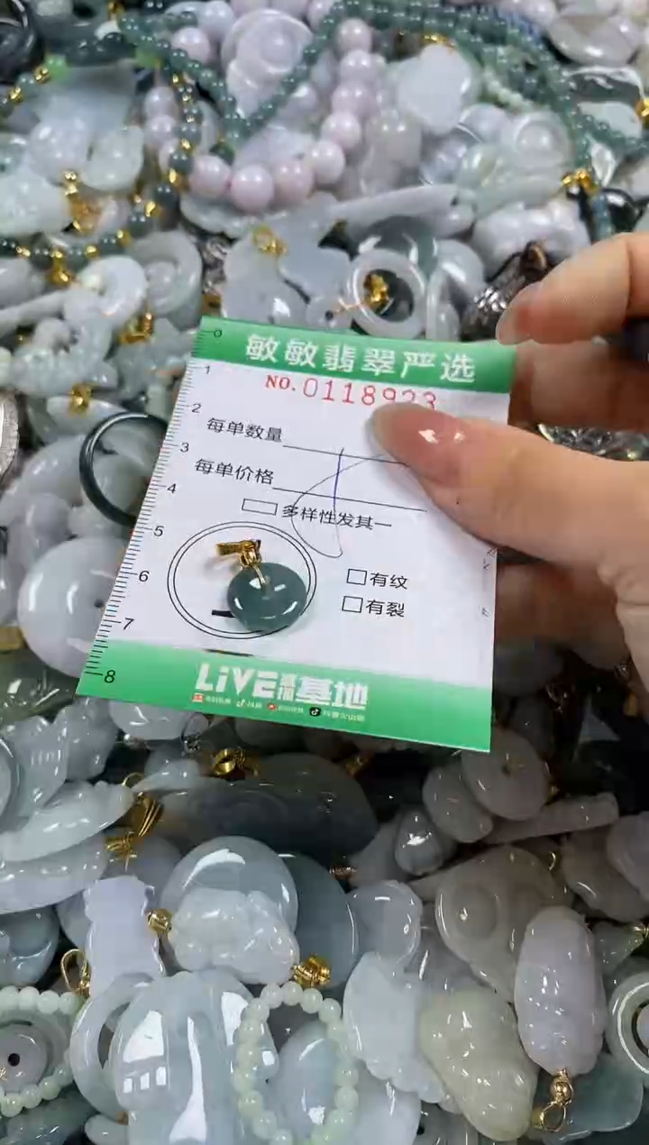 【闪购商品】翡翠颈饰未镶嵌闪购0118923