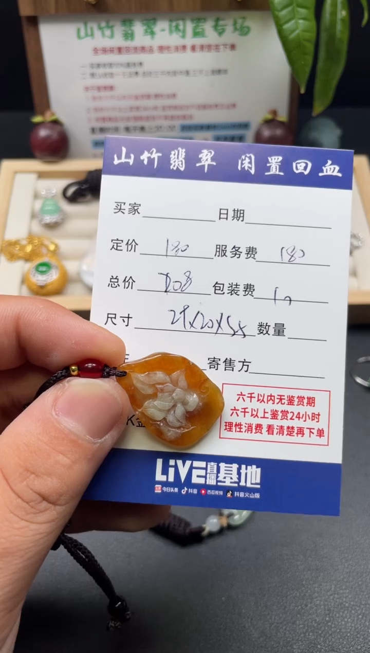 颈饰未镶嵌翡翠3002863