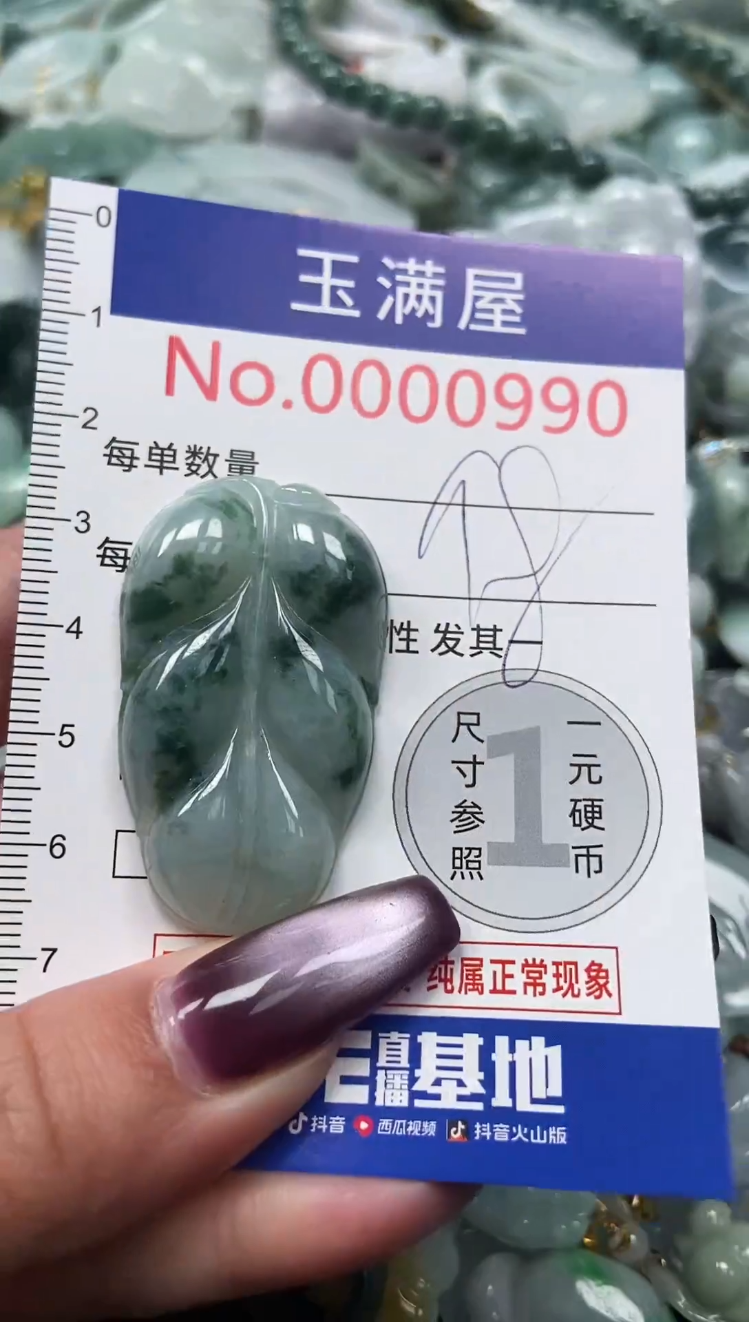 颈饰未镶嵌翡翠990