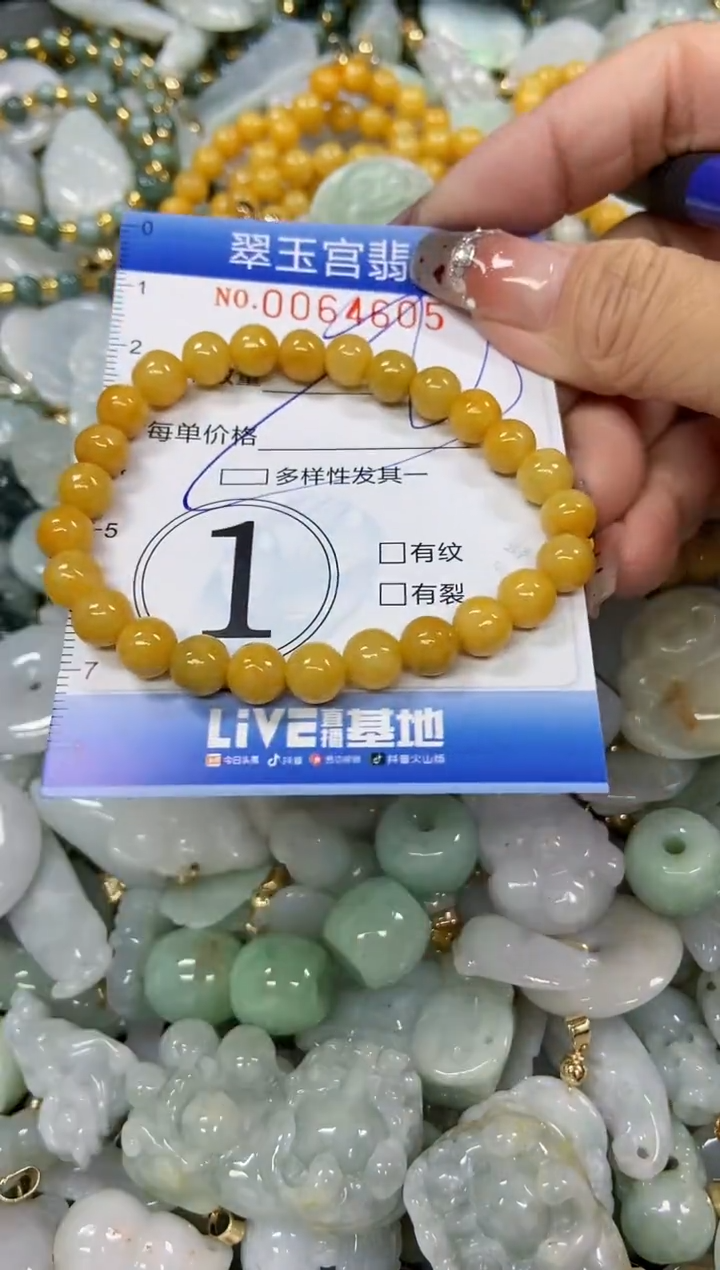 【闪购商品】翡翠颈饰未镶嵌闪购商品0064605多样性发其一