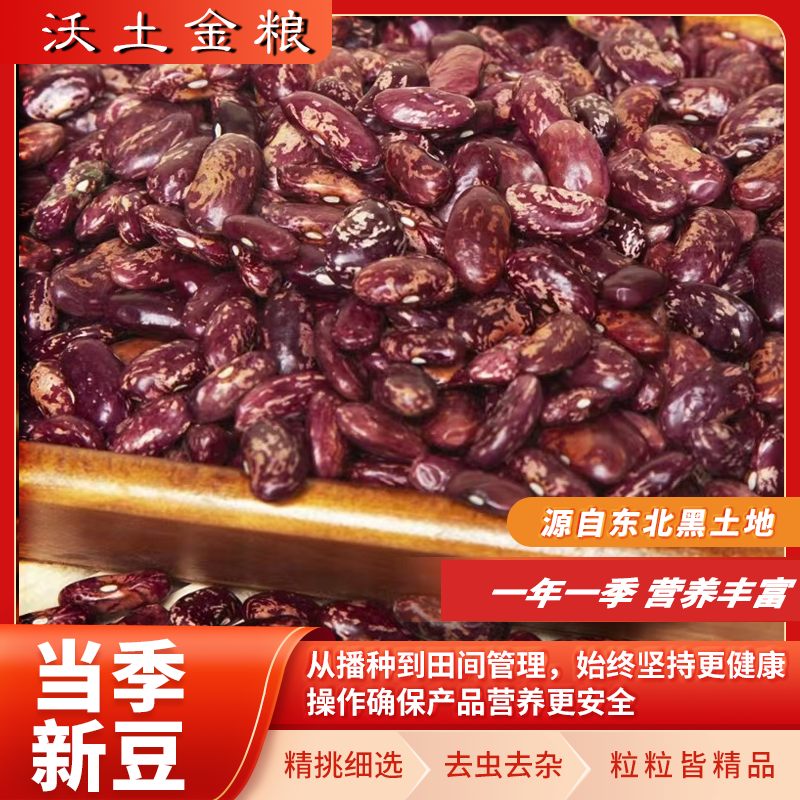 东北黑土地紫花芸豆 25年新豆