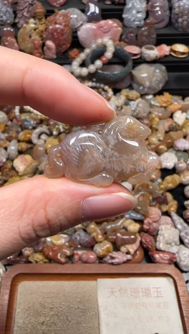 颈饰未镶嵌硅化珊瑚（珊瑚玉）198