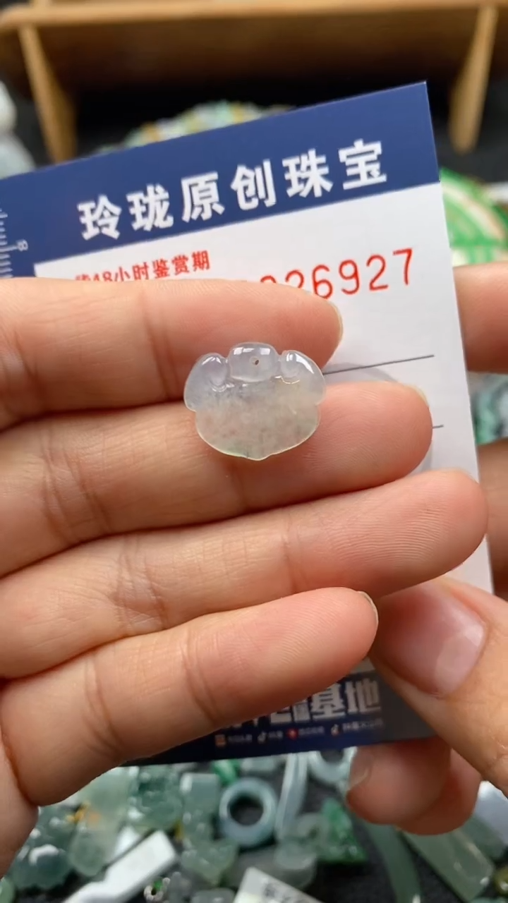 【闪购商品】翡翠颈饰未镶嵌翡翠净货26927