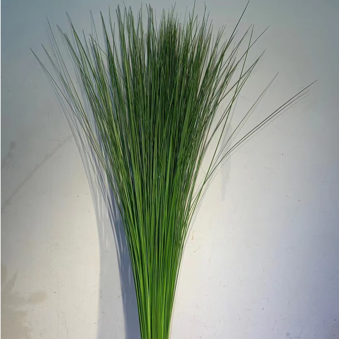 鲜切花配草【刚草】/1扎40支左右/花艺