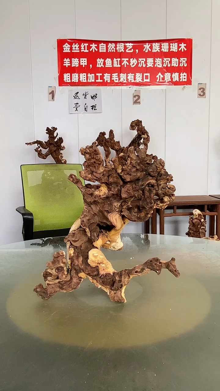 木勤**事金丝红木  羊蹄甲