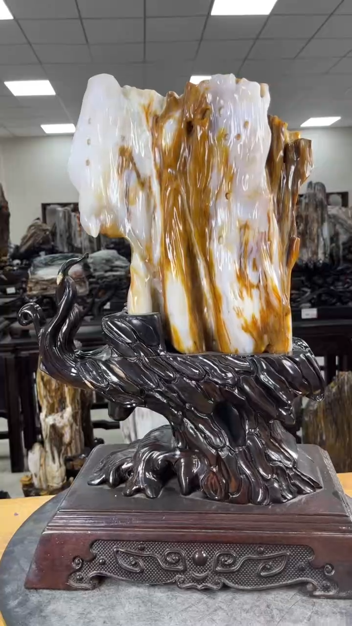 【闪购商品】硅化玉珠宝奇石未镶嵌1