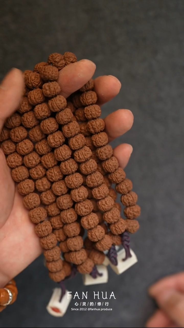 手串金刚菩提老树王单圈