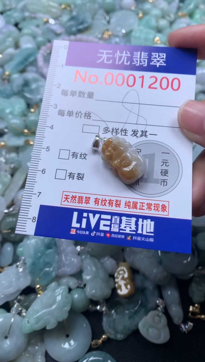 颈饰未镶嵌翡翠1200