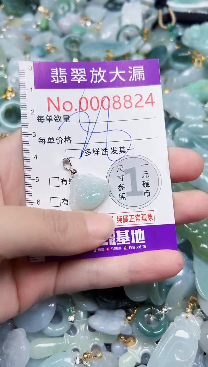 颈饰未镶嵌翡翠8824