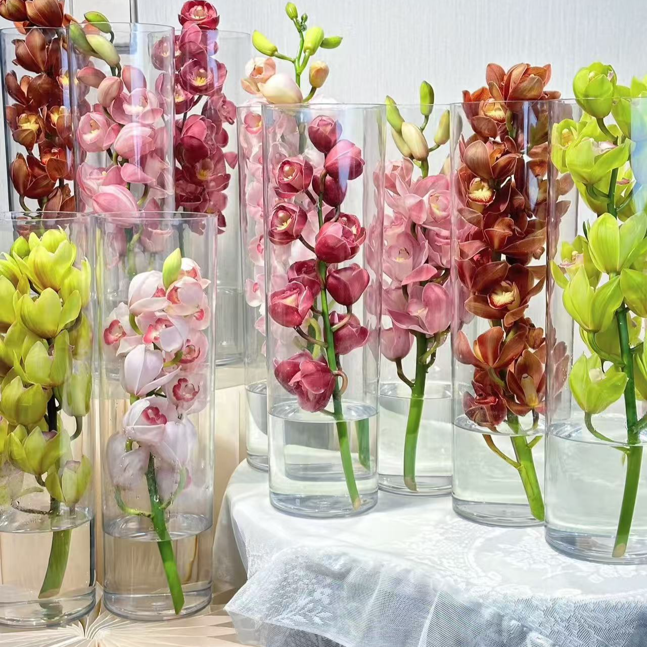 【大花蕙兰】新手友好 花期长  稀缺小众  鲜切花