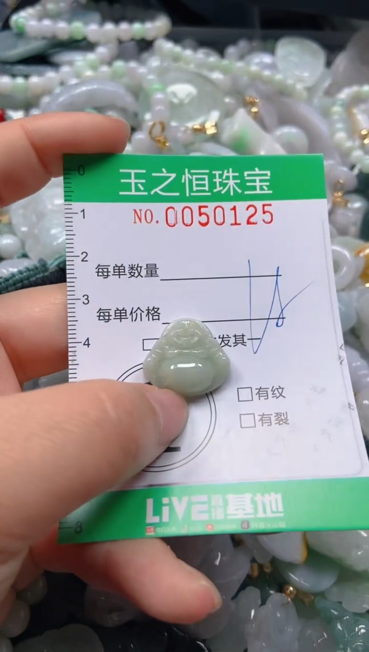 【闪购商品】翡翠颈饰未镶嵌闪购0050125
