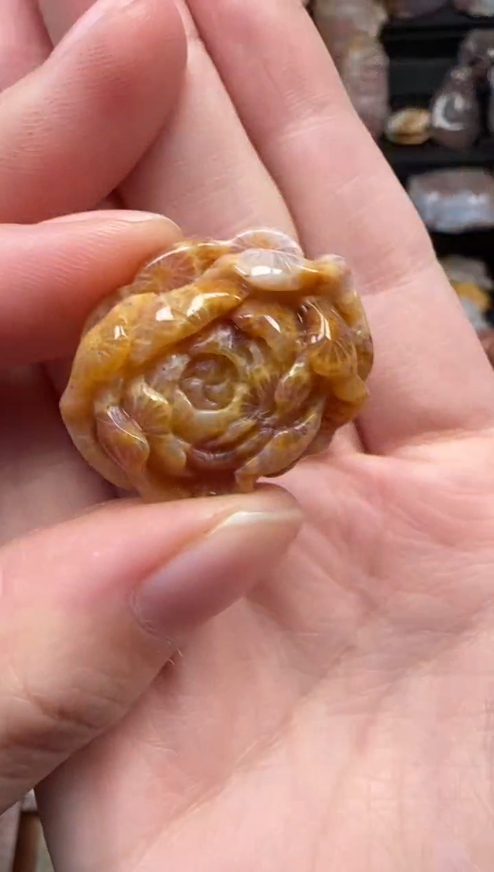 颈饰未镶嵌硅化珊瑚（珊瑚玉）164