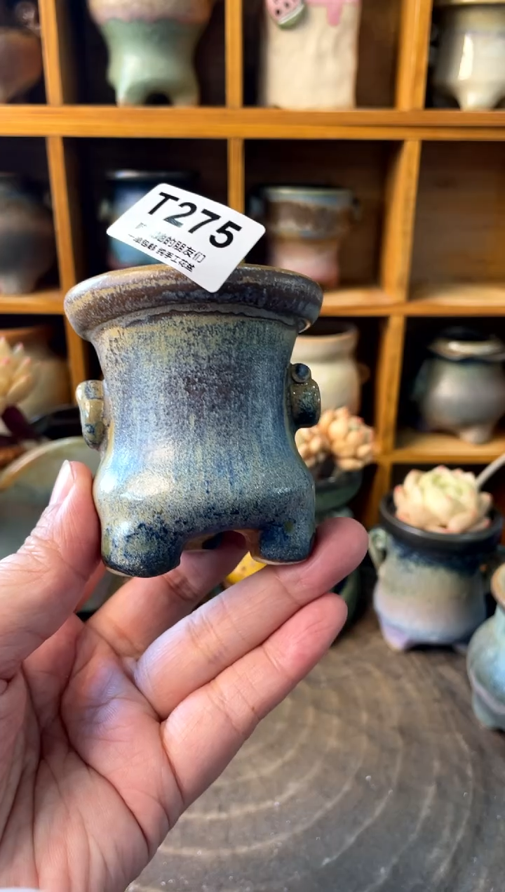 275 内口5【多肉花盆多肉盆】