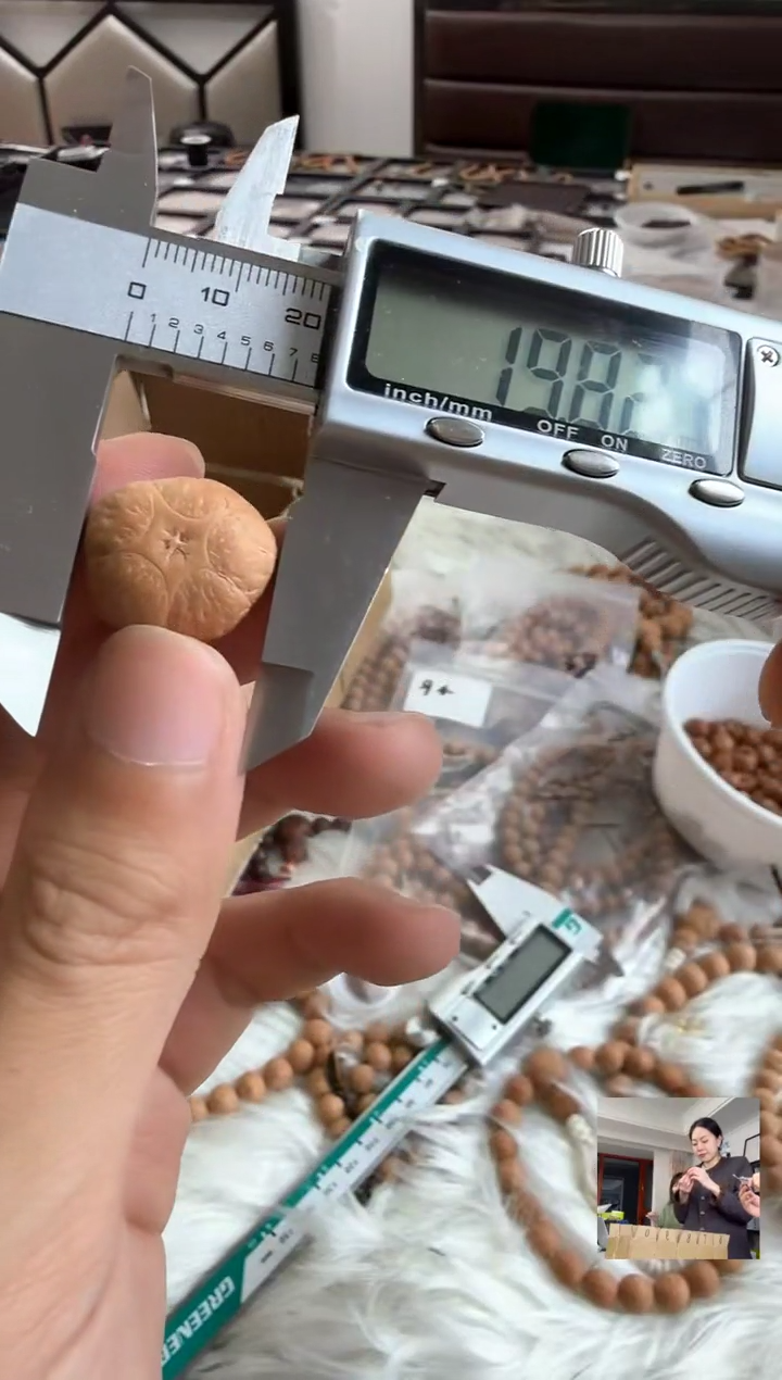 吊坠凤眼菩提4715