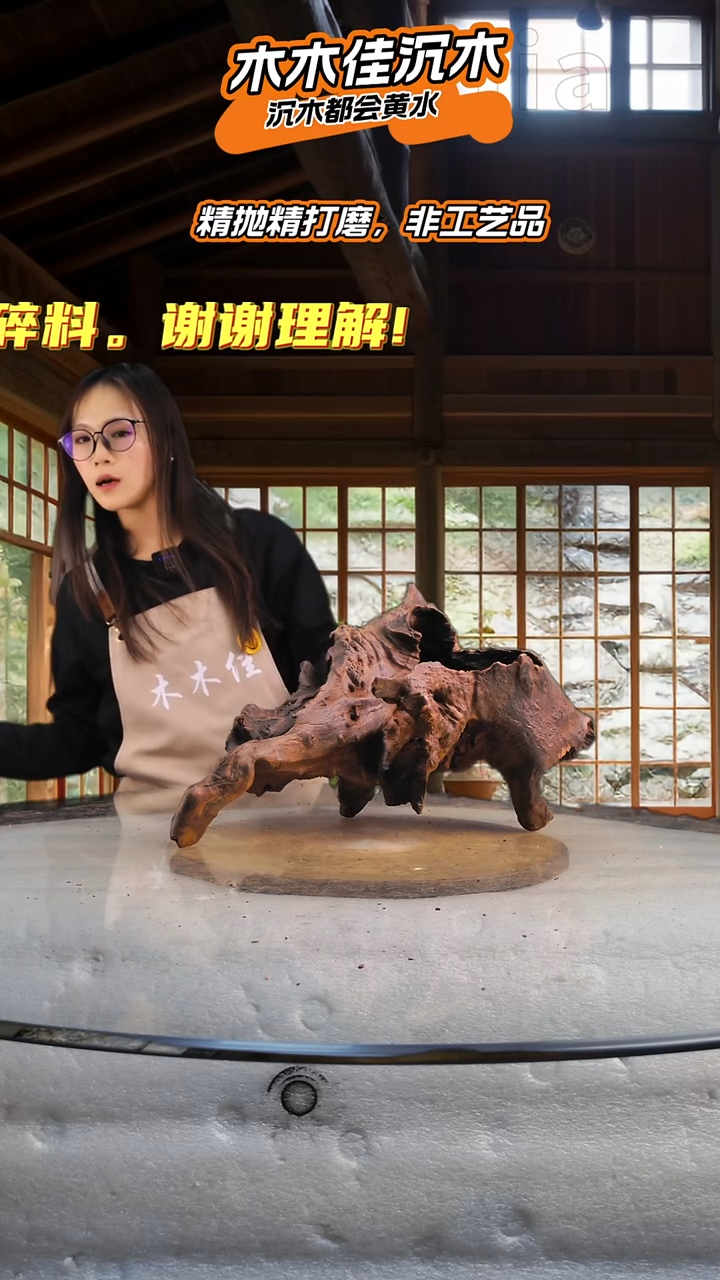 思****签木木佳鱼缸造景沉木-731