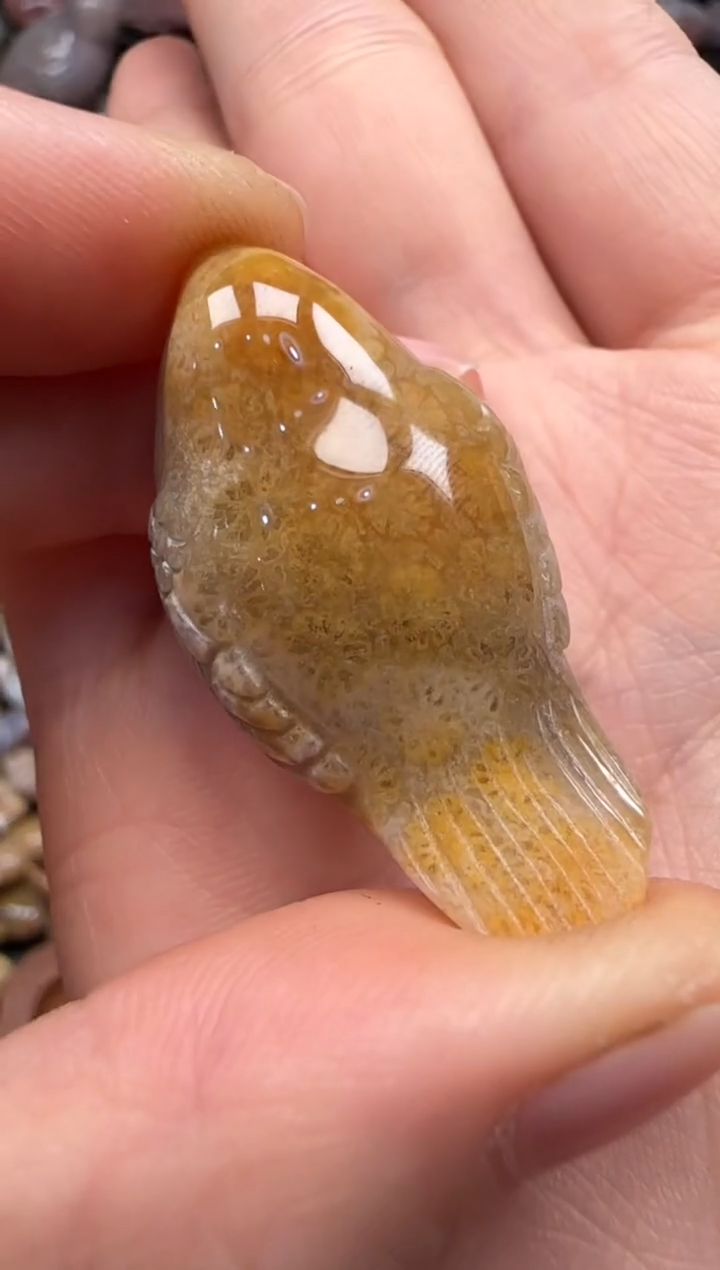 【闪购商品】硅化珊瑚（珊瑚玉）颈饰未镶嵌038