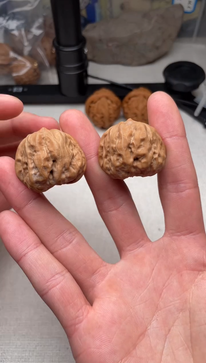 把件文玩核桃34尺小蛤蟆