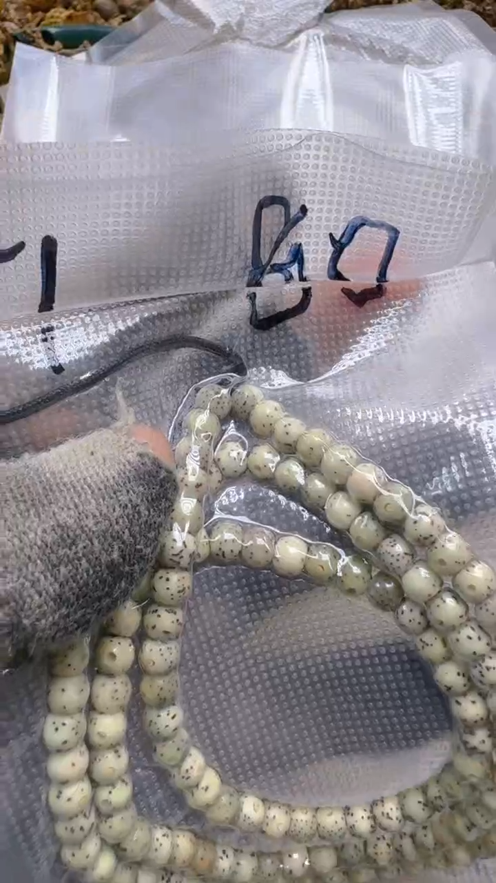 【闪购商品】星月菩提吊坠青稞文玩 51号