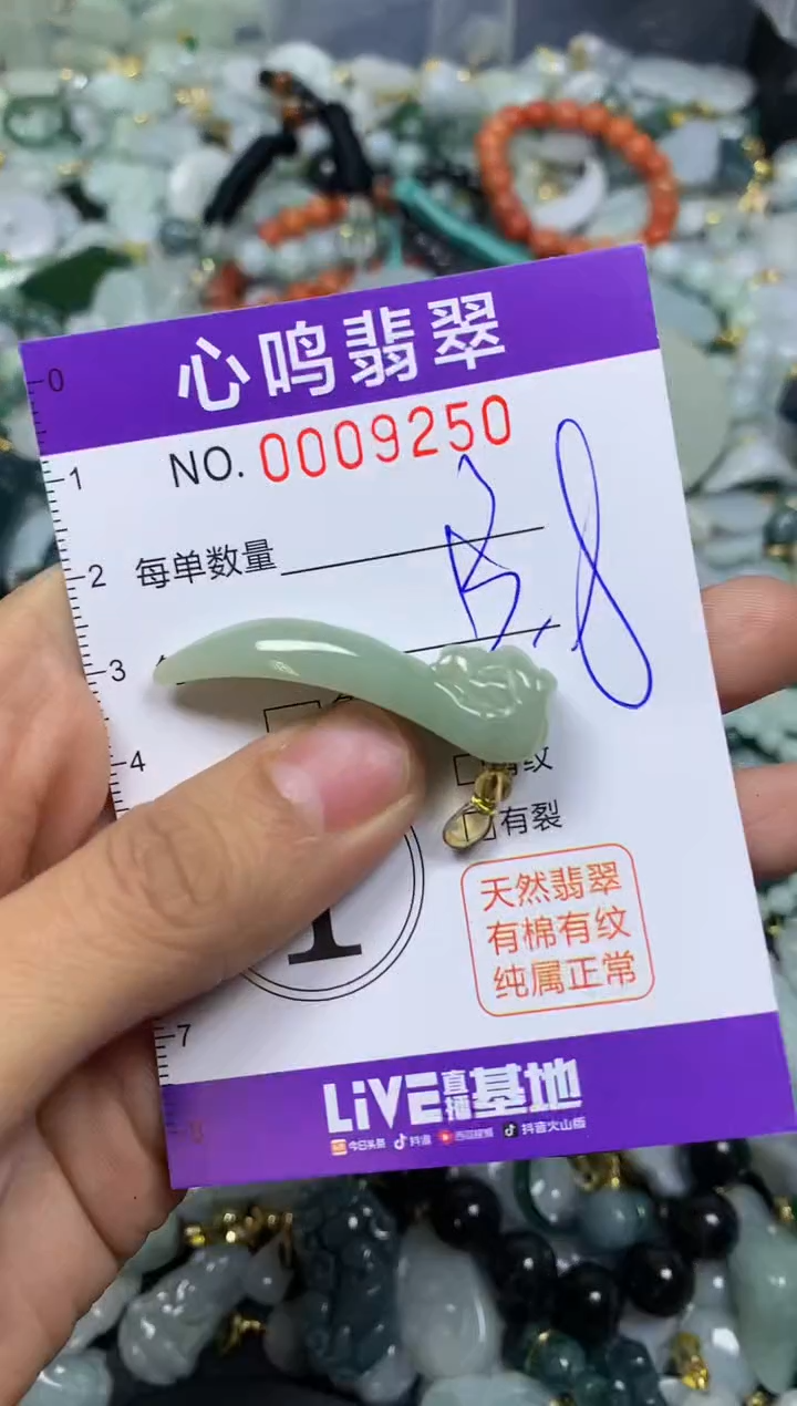 【闪购商品】翡翠颈饰未镶嵌闪购009250