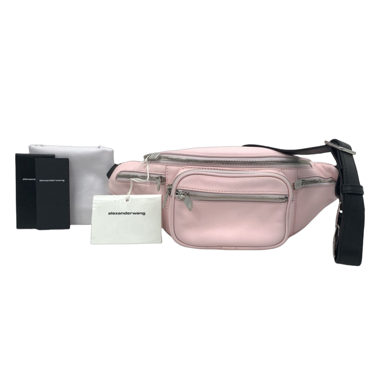 95新/ALEXANDER WANG/单肩包/C1365093217/[251224ELA]