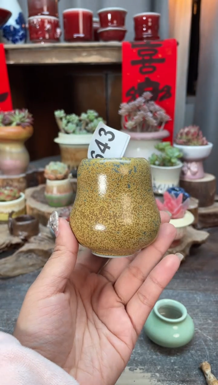 【闪购商品】摆件643知木小芳花盆