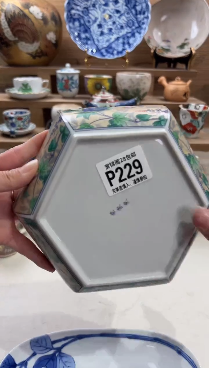 瓷片宋*      P229
