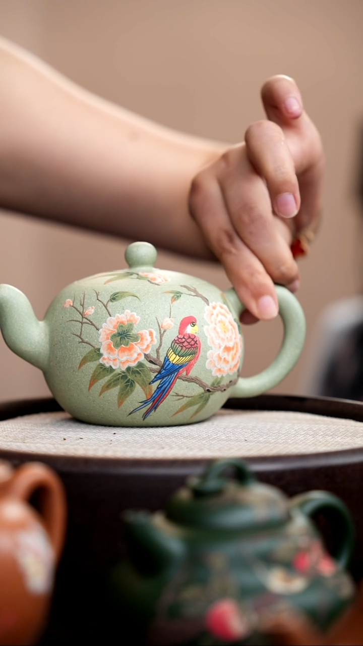 茶壶紫砂豆青砂一粒珠泥绘鹦鹉