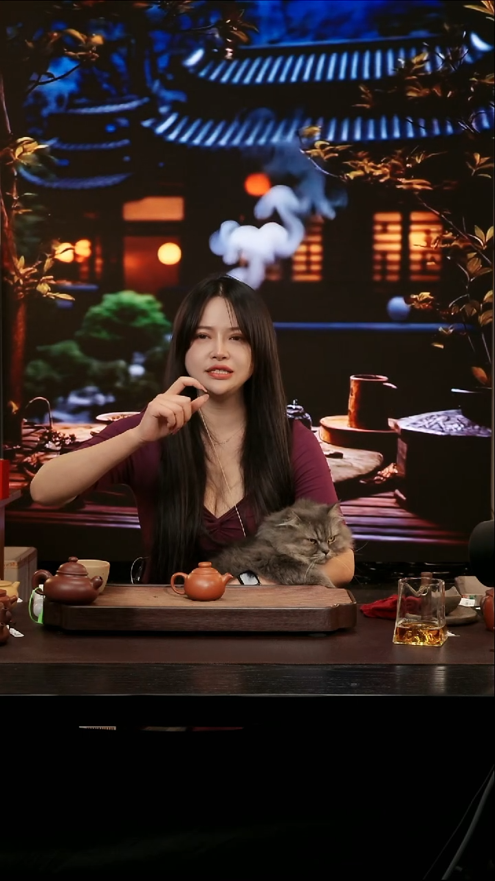 茶壶紫砂宜兴原矿紫砂壶   炮嘴圆妞