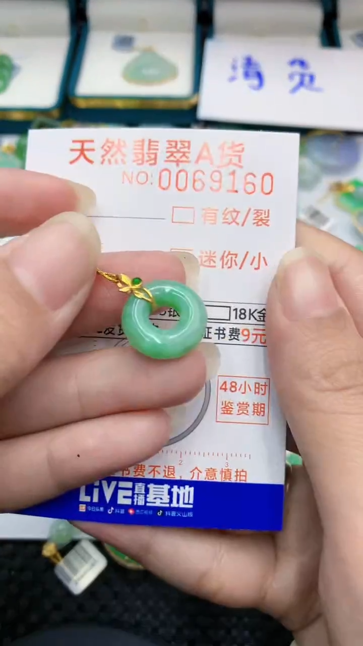 【闪购商品】翡翠颈饰18K金镶嵌            8